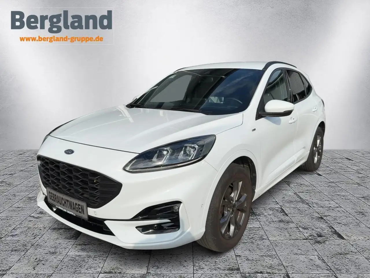 Ford Kuga ST-Line 2.0 EcoBlue Allrad — photo 1 of 21