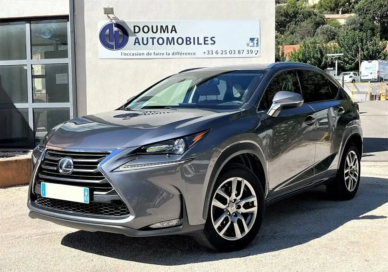 Lexus NX 300h 300h 4WD Luxe — photo 1 of 15