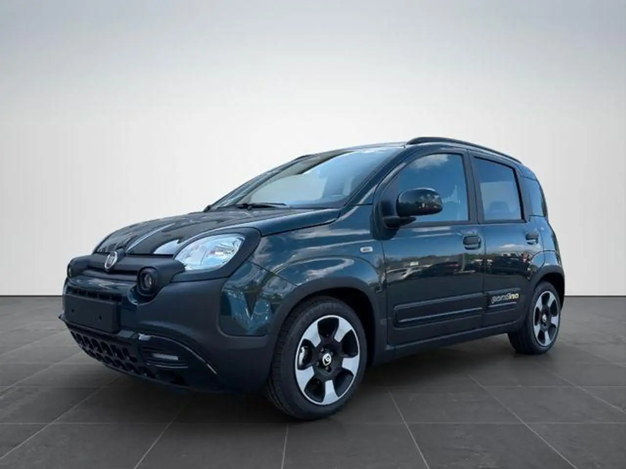 Fiat Panda Pandina Cross 1.0/PDC H/ 7" BildS/PDC 51 kW (69... — photo 1 of 11