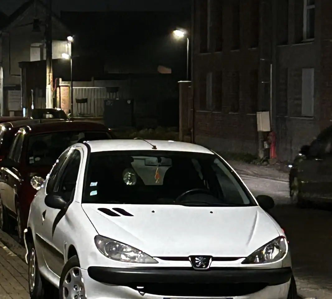 Peugeot 206 AFFAIRE 1.9 D — photo 1 of 6