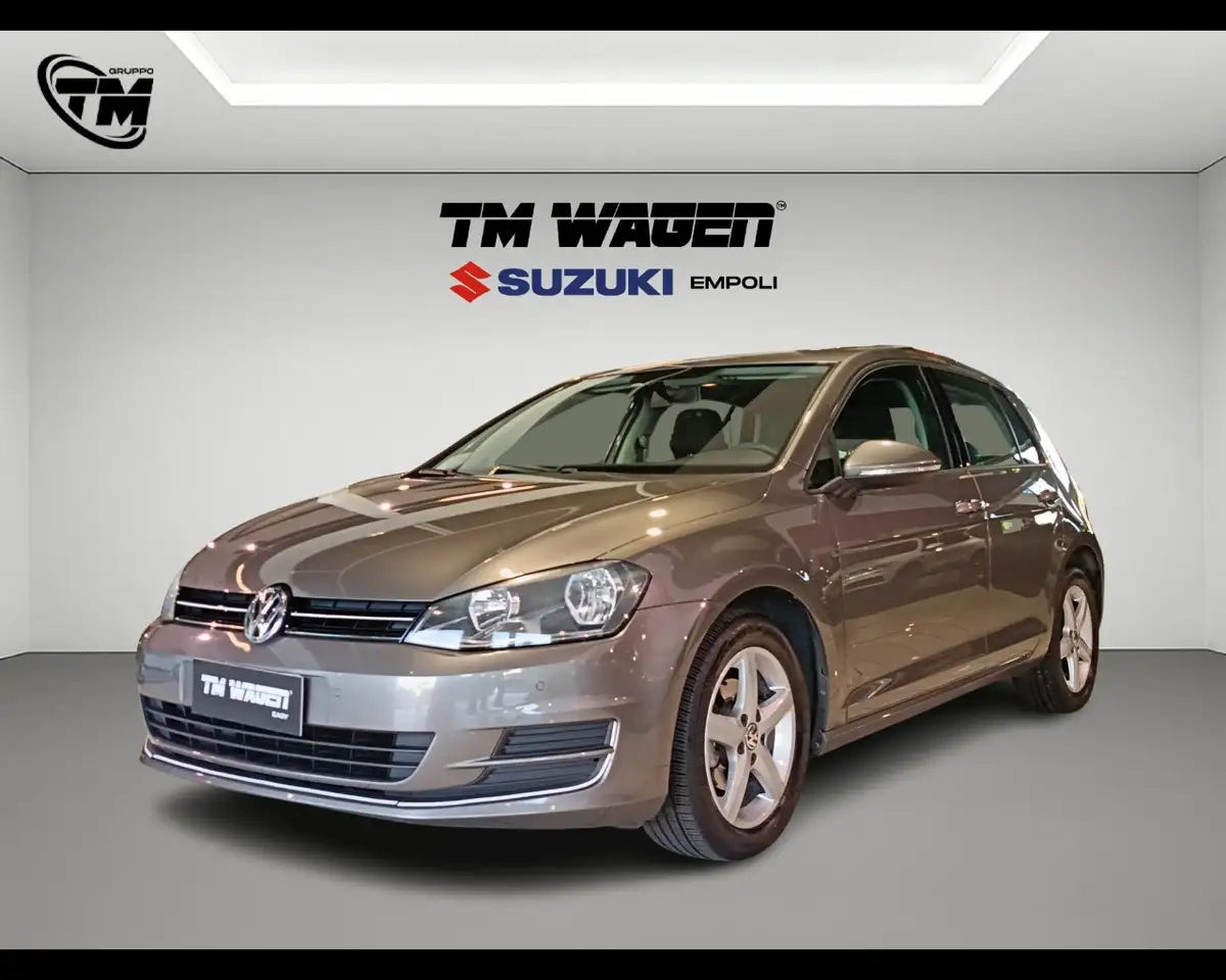 Volkswagen Golf 1.6 TDI 90 CV 5p. Business Trendline Bluemotion 20 — photo 1 of 15