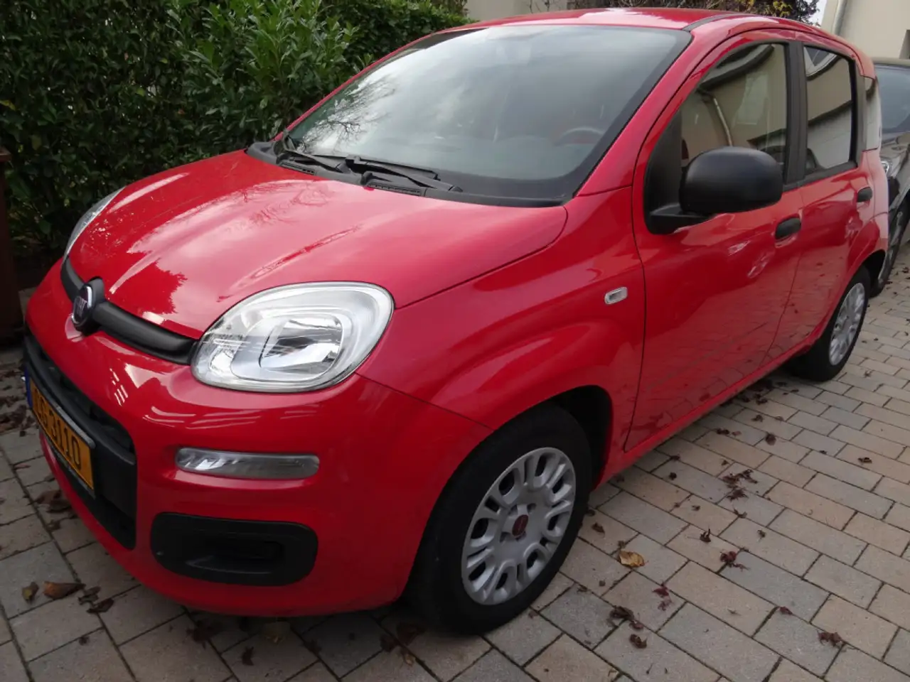 Fiat New Panda 1.3 MTJ — photo 1 of 12