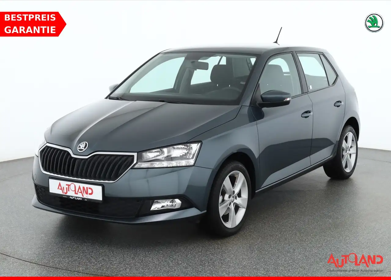 Skoda Fabia 1.0 MPI Cool Plus Klima Sitzheizung DAB — photo 1 of 27