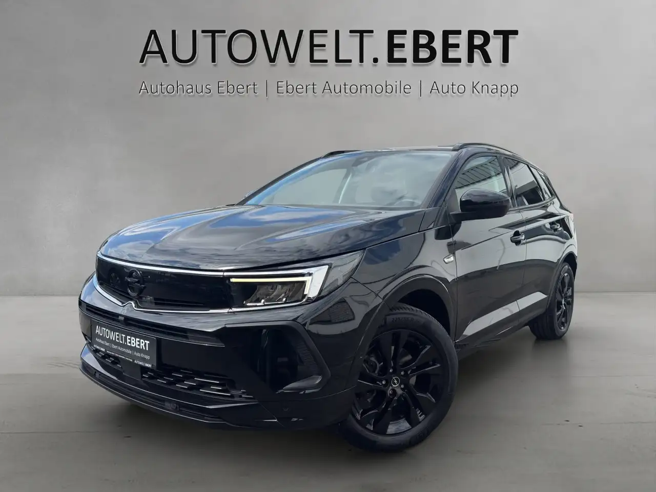 Opel Grandland X Grandland 1.2 Turbo Aut. GS Line/KAMERA/SHZ/NAVI — photo 1 of 15