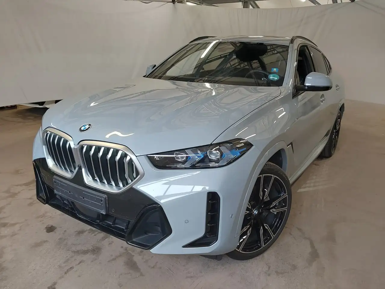 BMW X6 xDrive30d "M-Sport" AHK, Pano, Standhzg., DrivAssP — photo 1 of 10