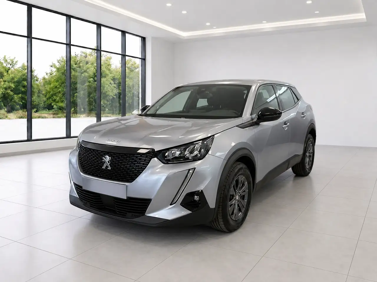 Peugeot 2008 PureTech 100 S&S Active — photo 1 of 4