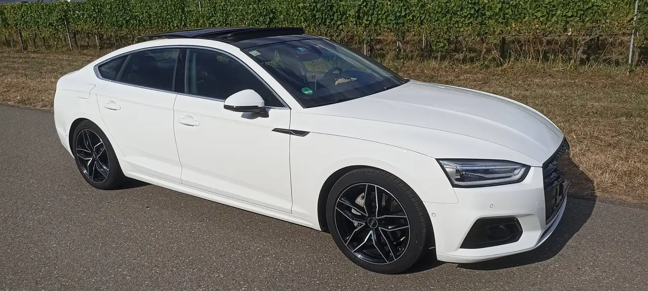 Audi A5 A5 Sportback Diesel Sportback 40 TDI S tronic — photo 1 of 14