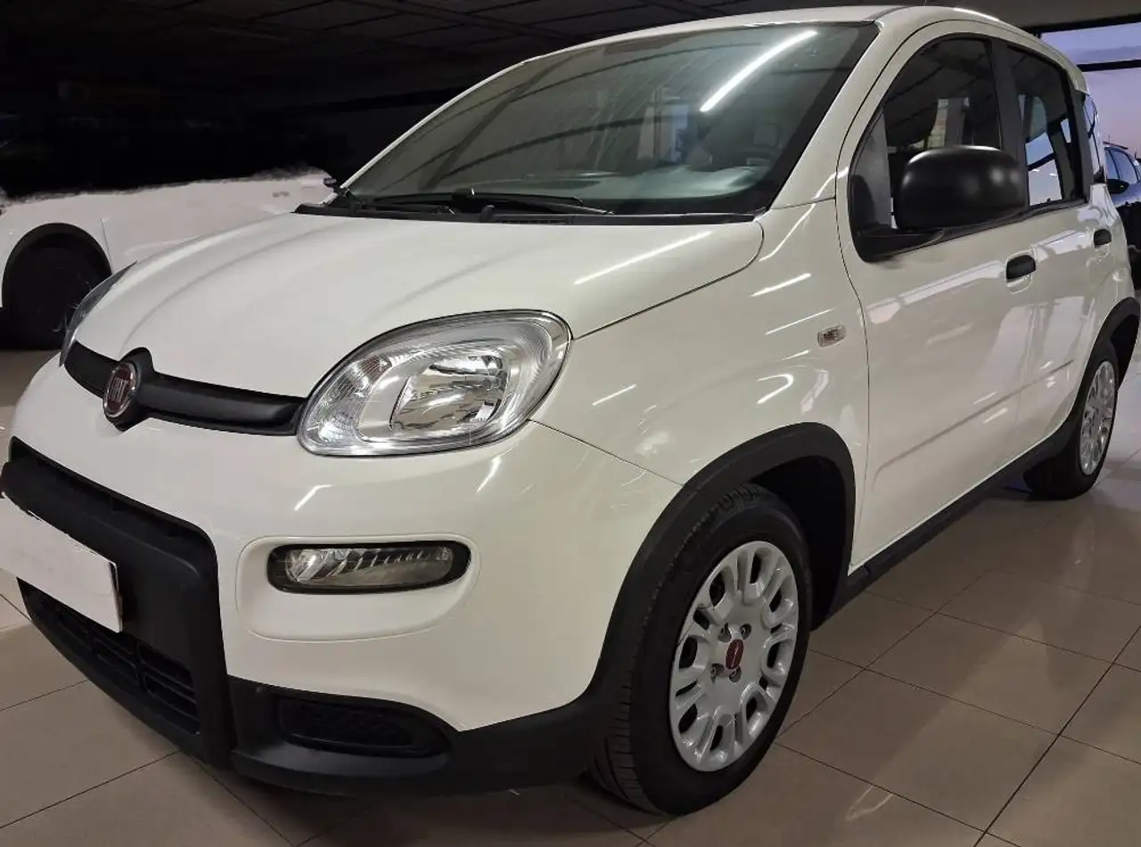 Fiat Panda Panda 1.0 firefly hybrid Icon — photo 1 of 18