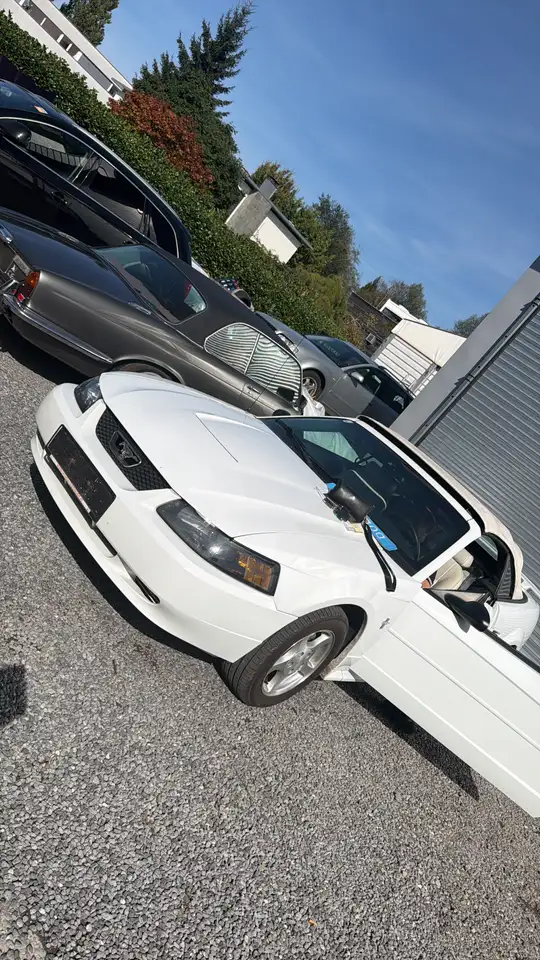 Ford Mustang Cabrio GT Aut. — photo 1 of 9