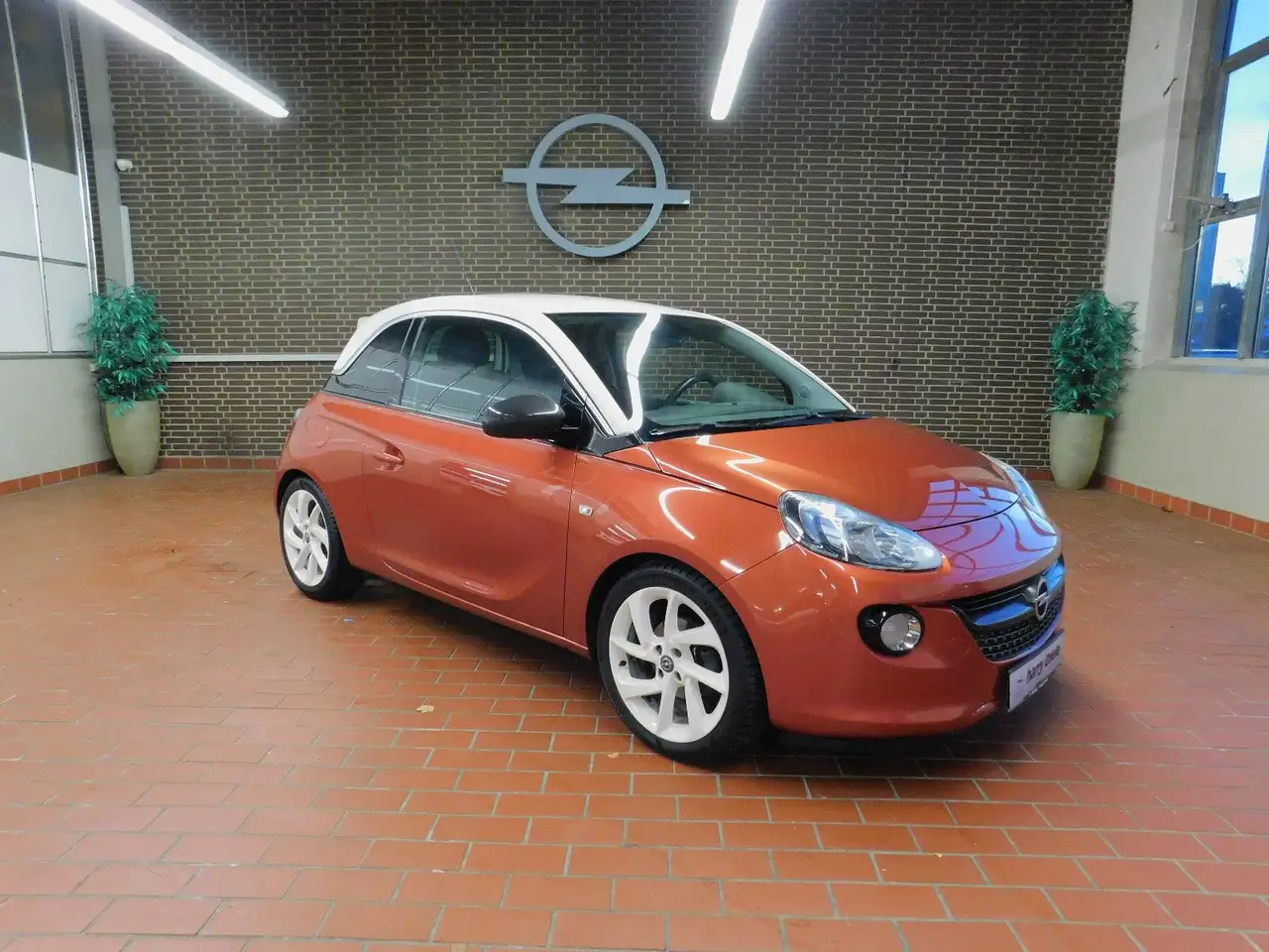 Opel Adam Slam Curry White Cap Allwetterräder/Winterp — photo 1 of 15